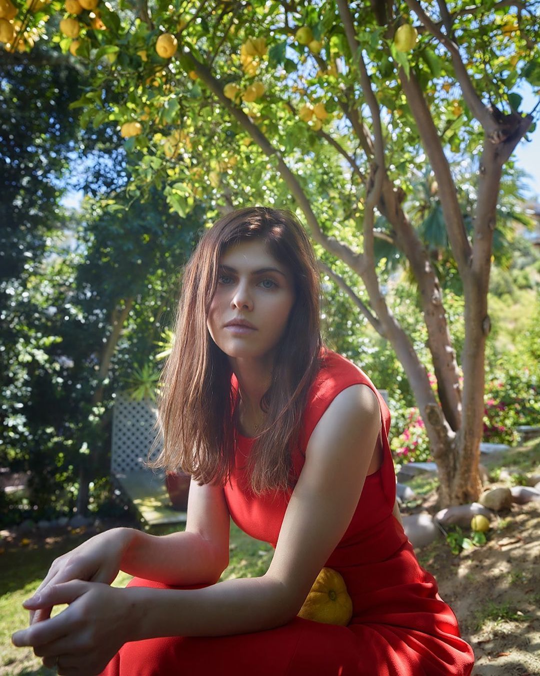 1710519845 72 Alexandra Daddario Фото10 Alexandra Daddario 10