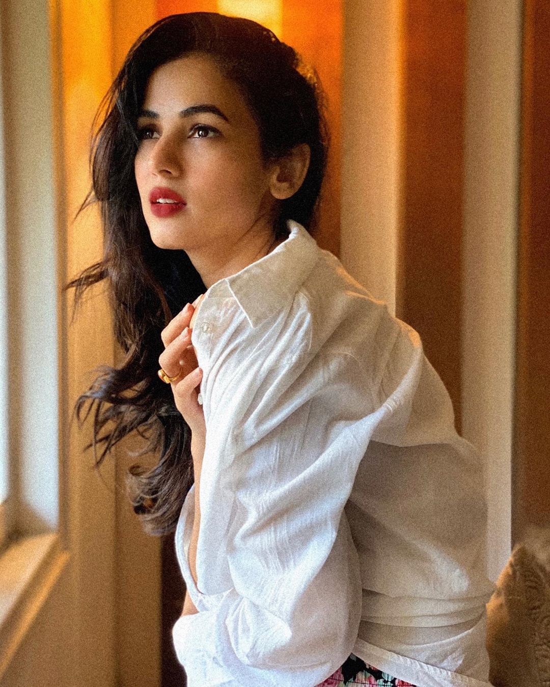 1711506606 114 Sonal Chauhan Фото6 Sonal Chauhan 6